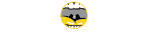 Shout It Out Design