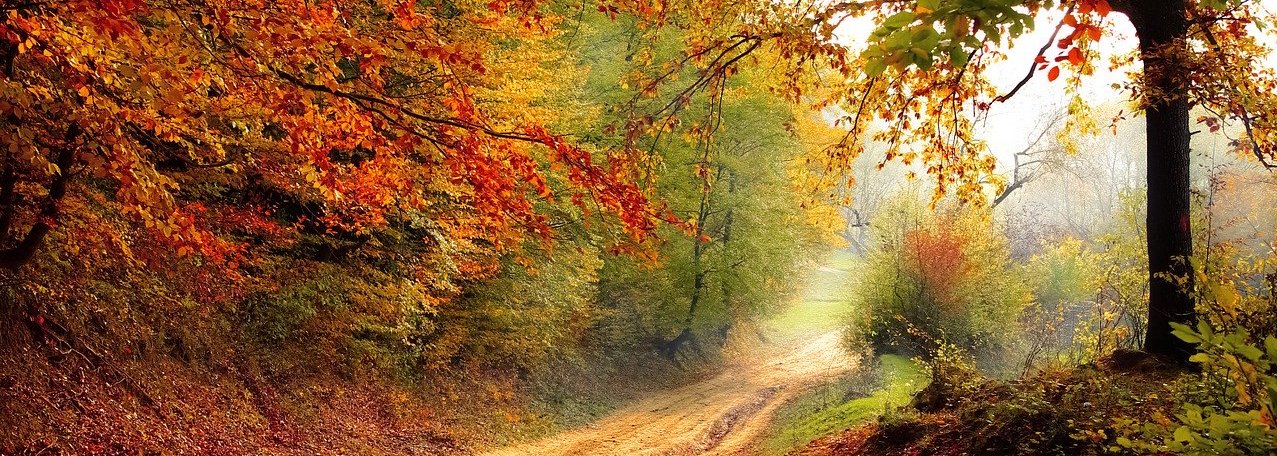 ferncliff-cemetery-cover-image