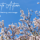 Spring into Action: Refreshing Your Marketing Strategy for a New Season